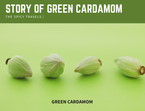 Green Cardamom: The Queen of Spices and Its Role in Trade and Indian Cuisine