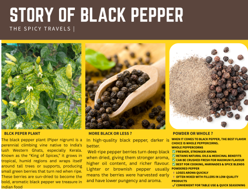 Black Pepper: The Spice That Changed India’s History