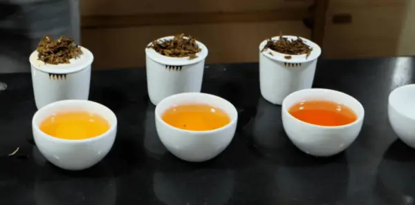 Indian Tea tasting