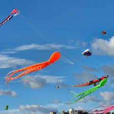 kite flying experience in delhi