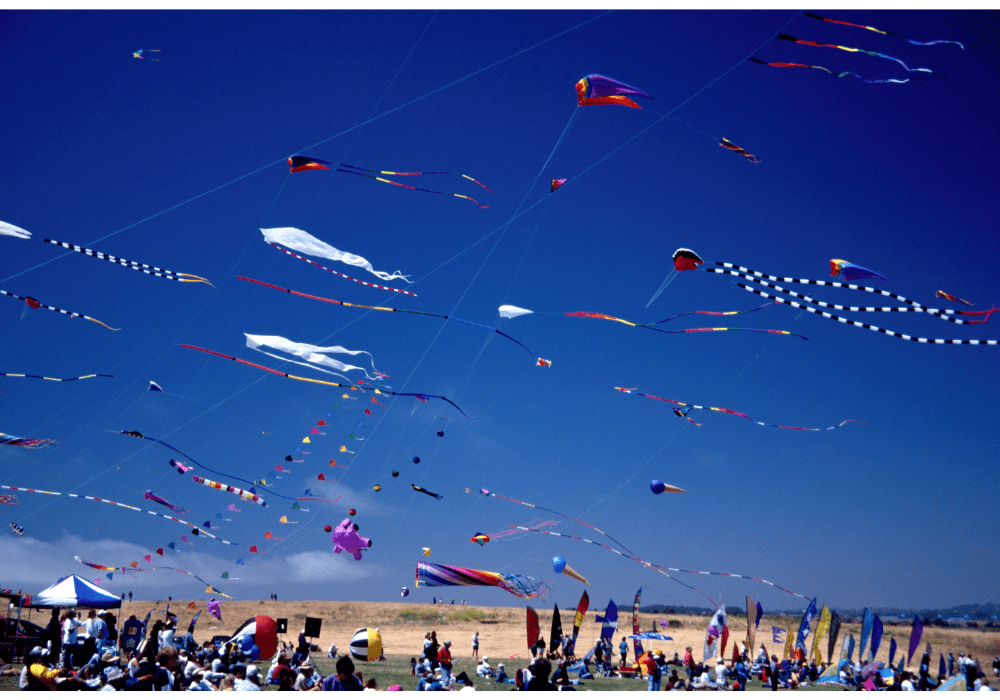 kite flying experience in delhi