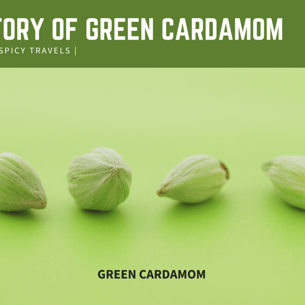 Green Cardamom: The Queen of Spices and Its Role in Trade and Indian Cuisine