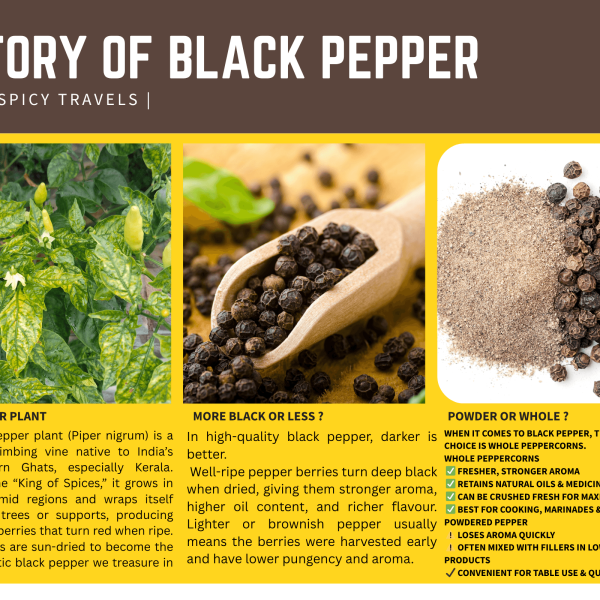 Black Pepper: The Spice That Changed India’s History
