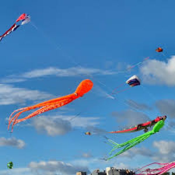 kite flying experience in delhi